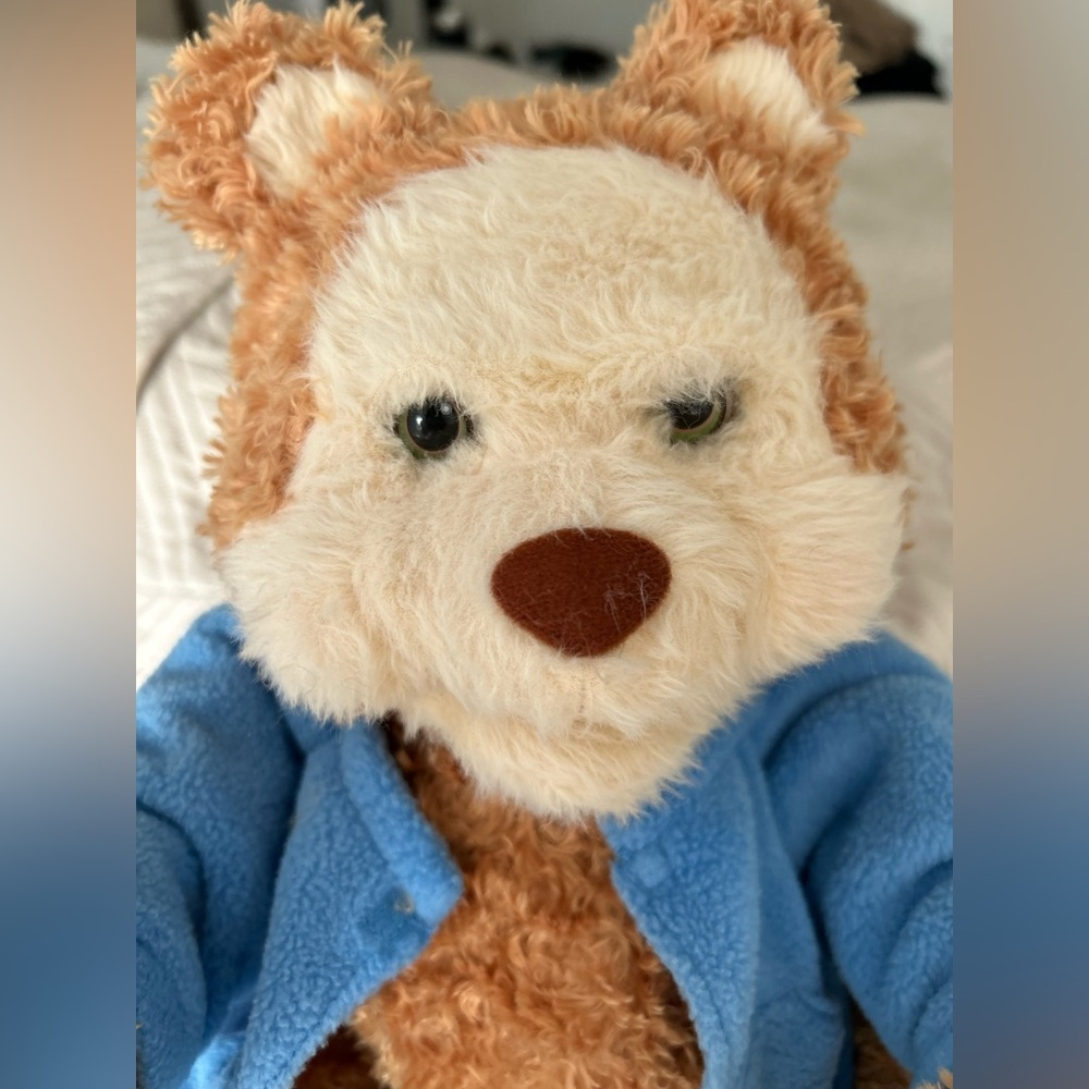 TJ Bearytales Interactive Talking Bear 3 Story Packs & books Tested + Working!)